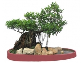 Hoài Linh ngủ gật trên trường quay Người bí ẩn